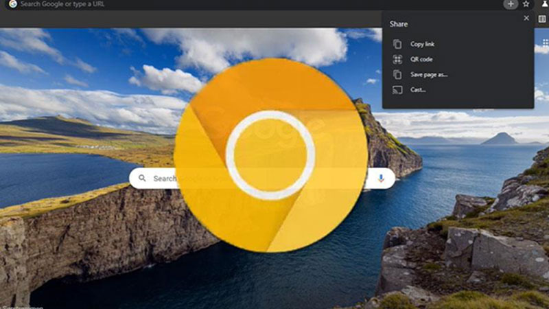 Google Canary