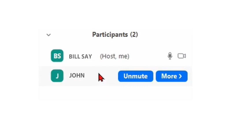 How to mute or unmute others on zoom