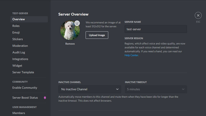 Discord Profile Pic Editing