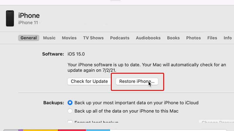 iPhone 11 Downgrade to iOS 14