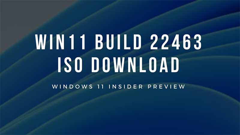 Windows 11 22463 Download