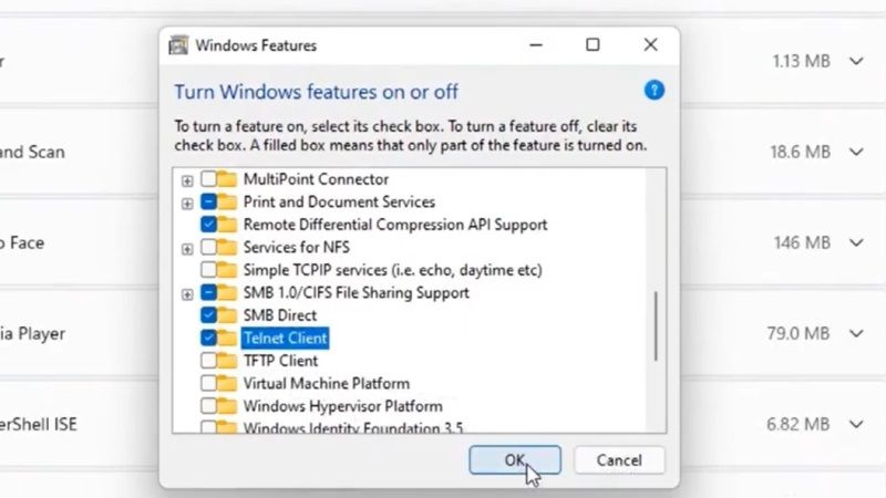 install telnet on windows 11