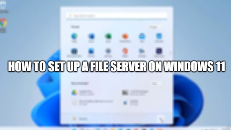 set up file server on windows 11