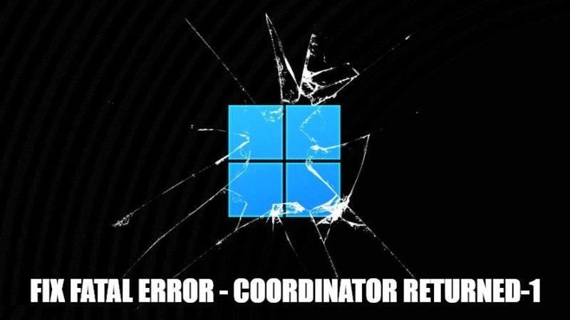 fix fatal error - coordinator returned-1 on windows 10
