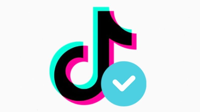 get verified on tiktok in 2021