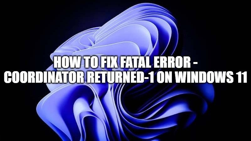how to fix fatal error - coordinator returned-1 on windows 11