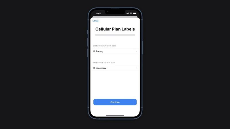 use dual sim on iPhone