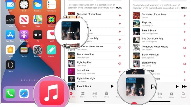 apple music not showing lyrics fix