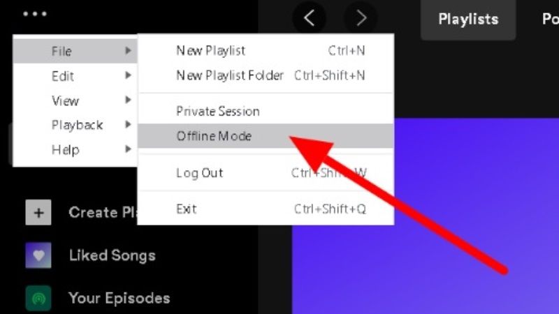 spotify can't play downloaded songs offline fix