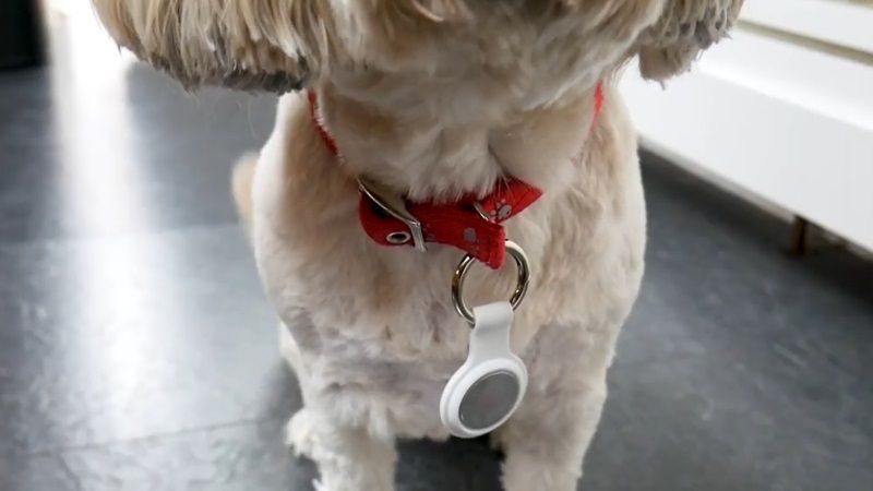 use apple airtags to track dog
