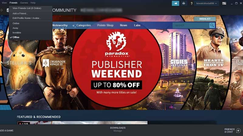 appear offline on steam