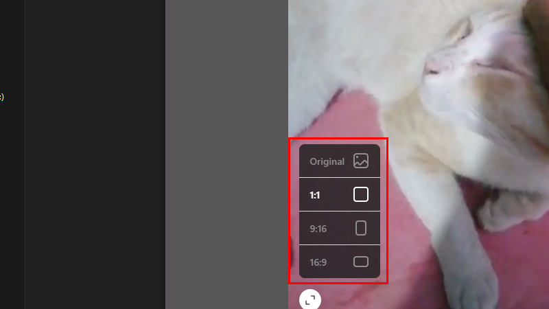 aspect-ratio