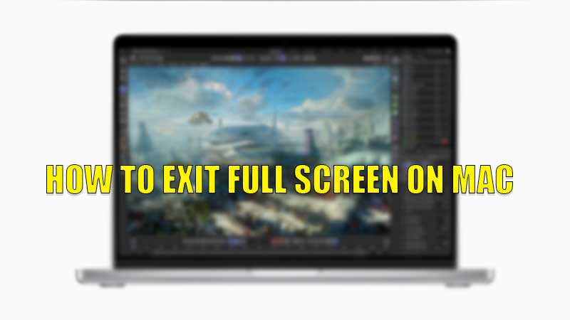 exit full screen mac