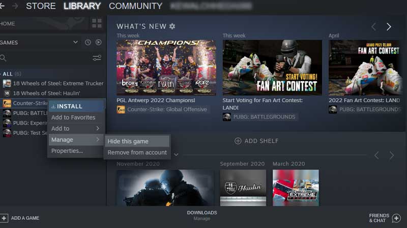 hide remove games from steam ibrary