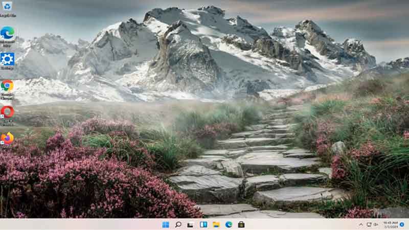 default desktop icon size