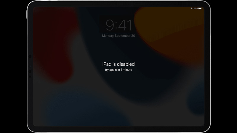 ipad-disabled