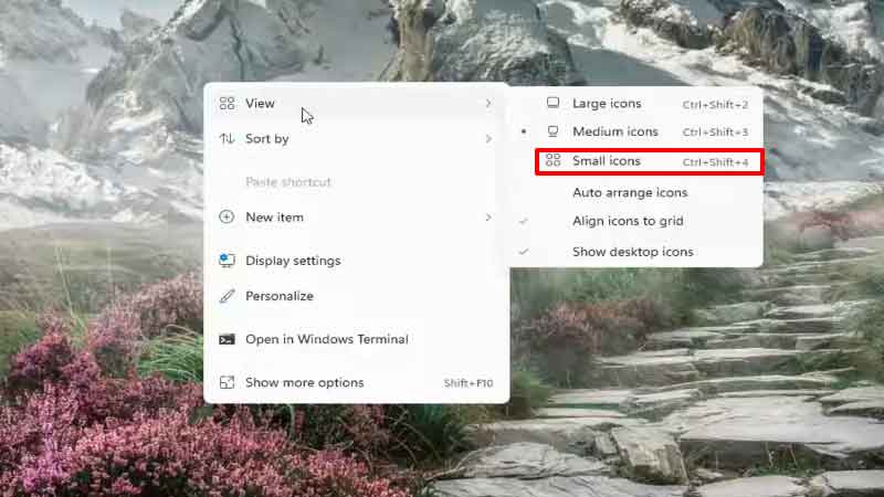 smaller desktop icon from view