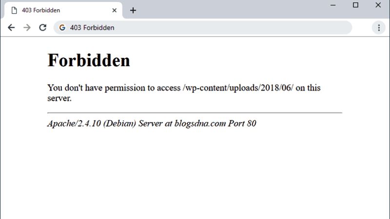 fix 403 forbidden error
