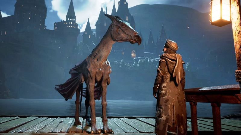 hogwarts legacy collectors edition leaks