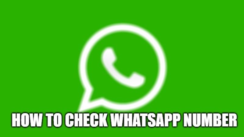 how to check your whatsapp number