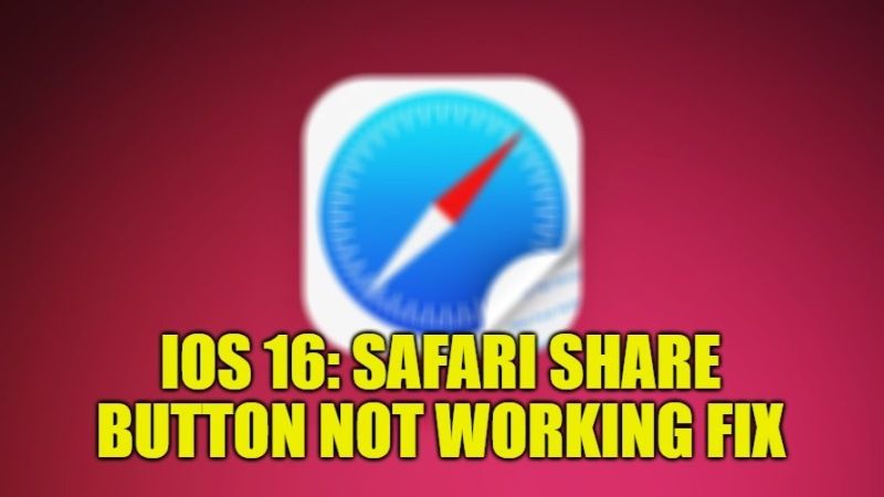 how to fix safari share button not working after ios 16 update