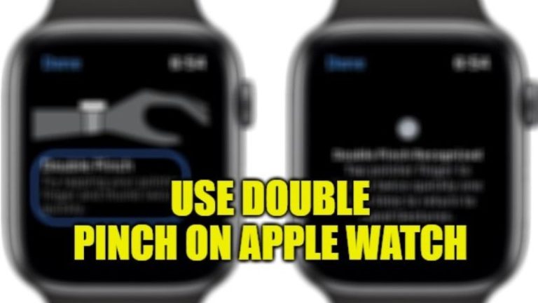 how to use double pinch gesture on apple watch
