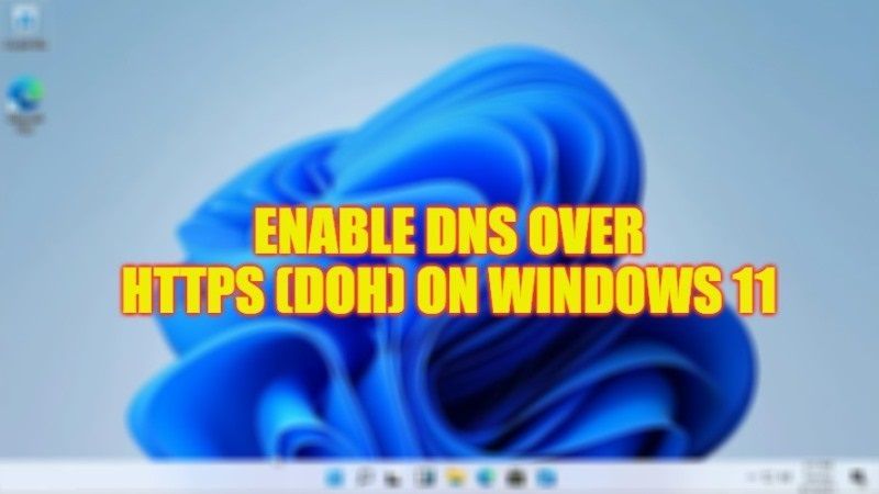 how to enable dns over https (doh) on windows 11