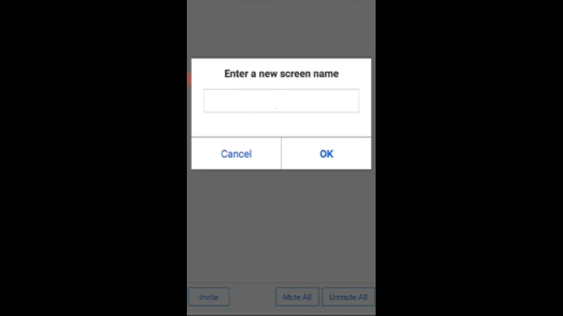 Change Name on Zoom During Meeting