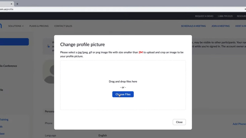 Change Profile Picture on Zoom