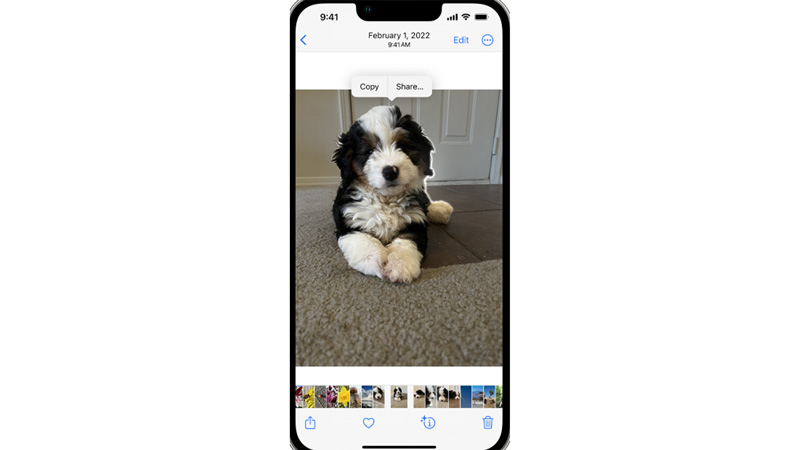 Copy and PAste Photo on iPhone