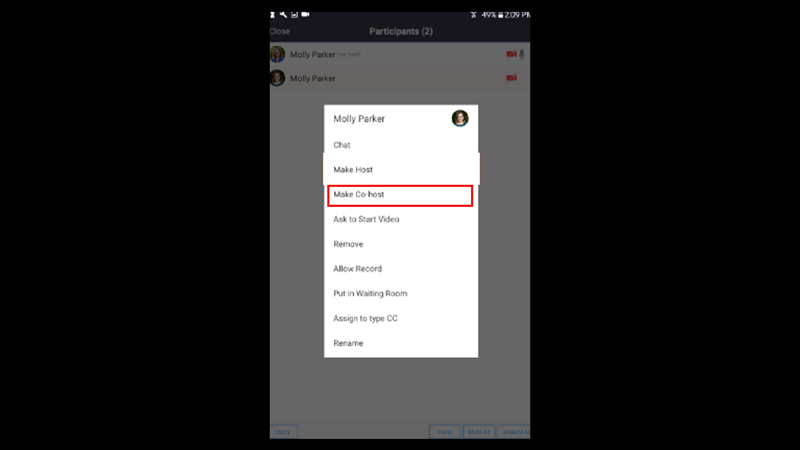 Make Co-Host on Zoom