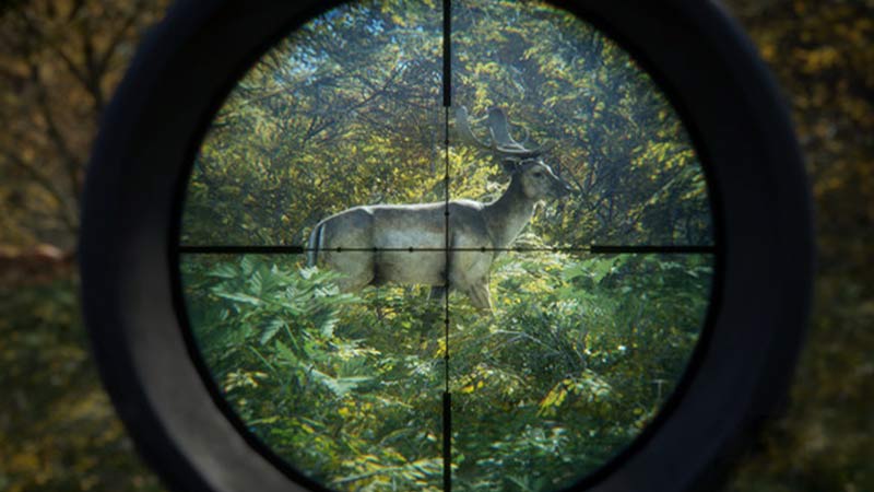 TheHunter Call of the Wild, can you cross platform play