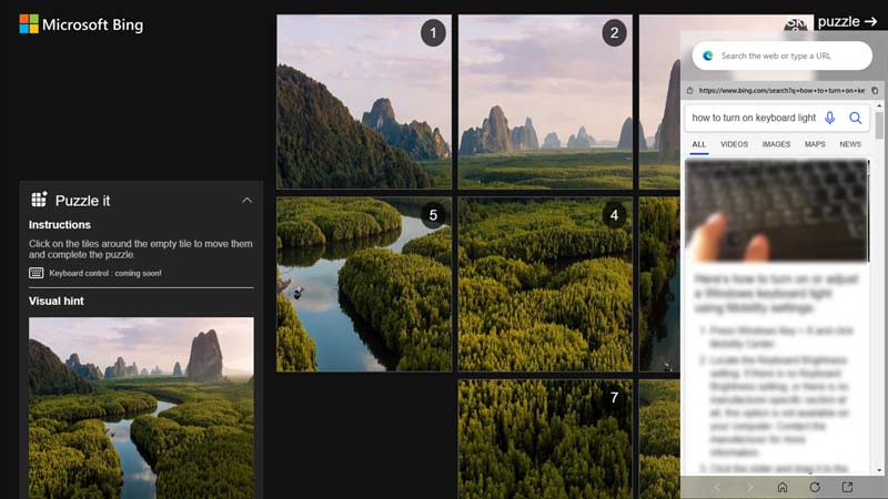 Enable Split Screen on Microsoft Edge