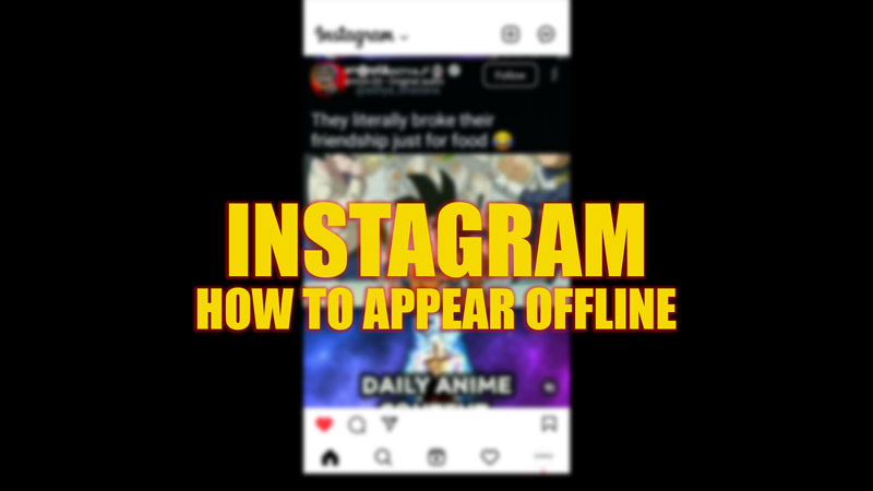 Appear offline on Instagram