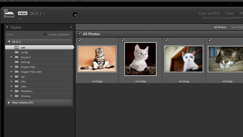 Lightroom Import Photo