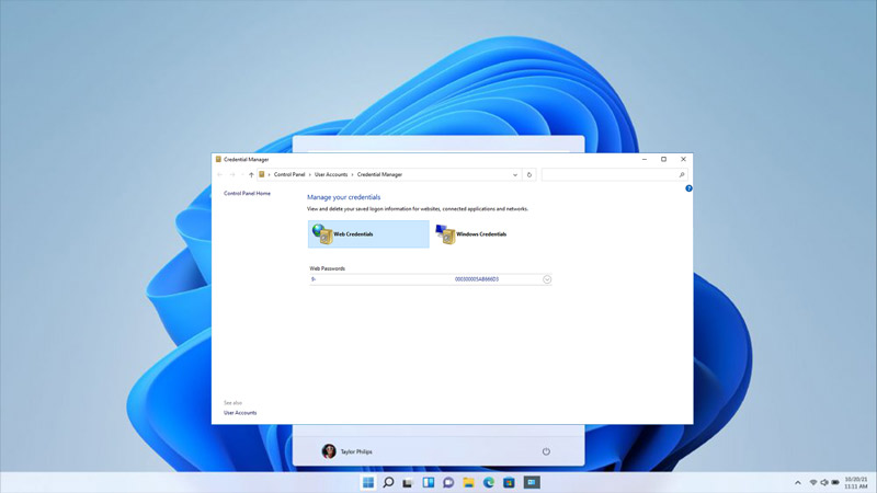 Use Credential Manager on Windows 11