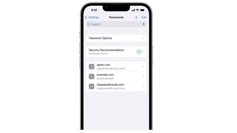 use, modify, or remove saved passwords and passkeys on iphone and ipad