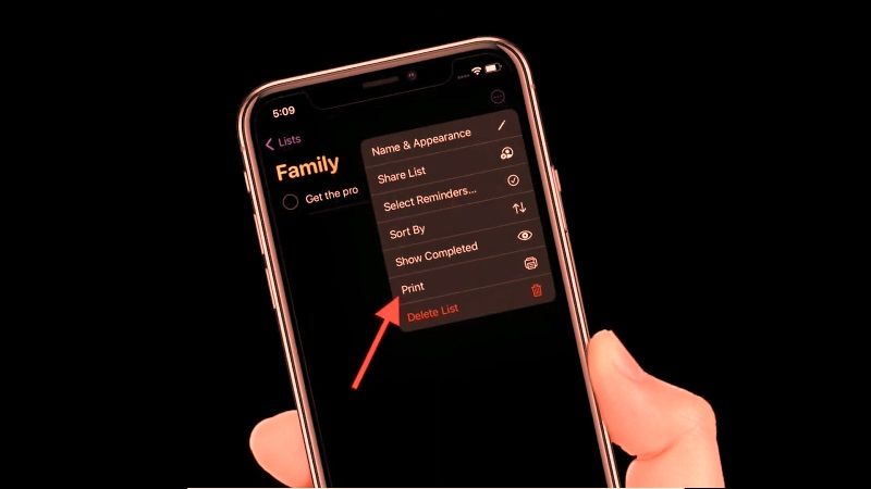 print Reminders Lists on your iPhone, iPad and Mac
