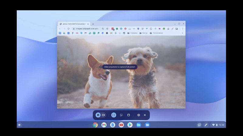 Chromebook: How to take a screenshot