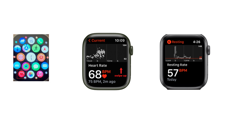 Check Resting Heart Rate on Apple Watch?