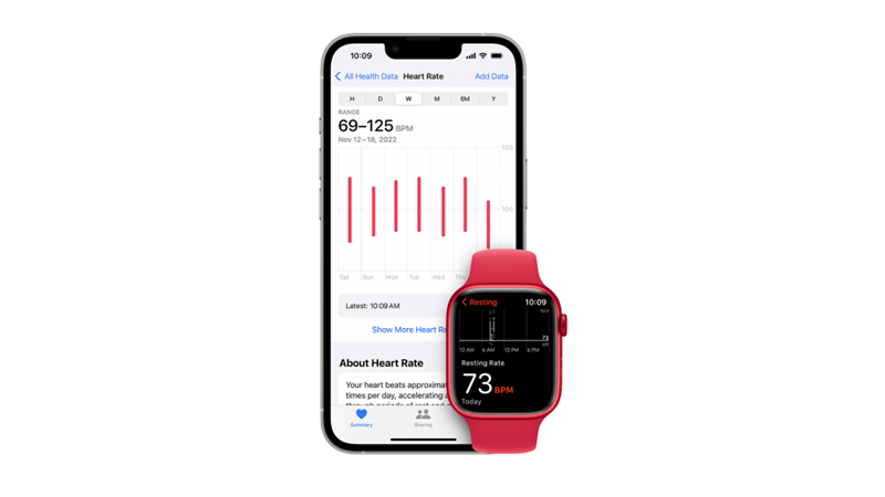 Check Resting Heart Rate on Apple Watch using iPhone