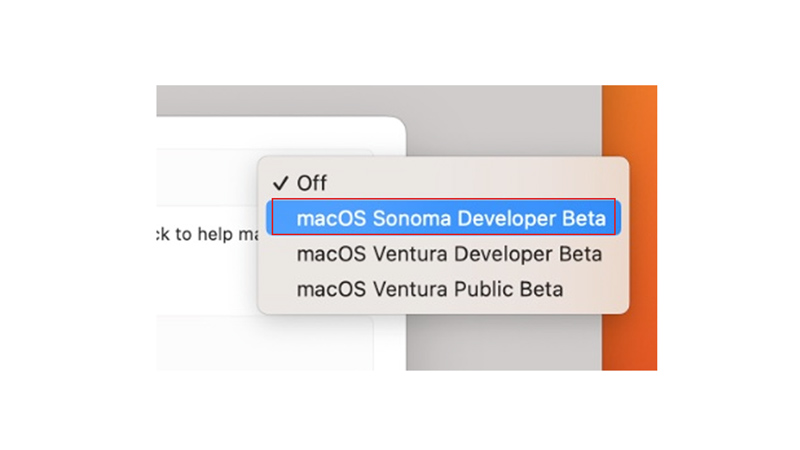 Developer Beta Update