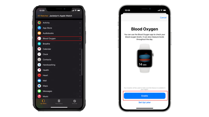 Set Up Blood Oxygen App on Apple Watch
