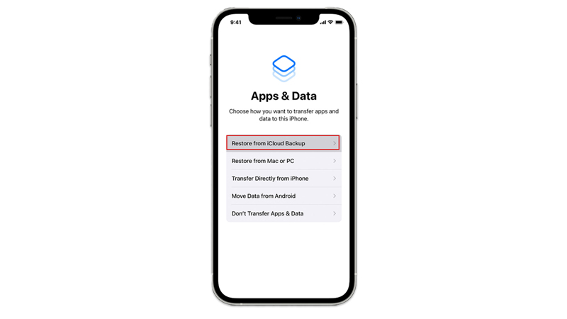 Restore Deleted Photos from iCloud Backup