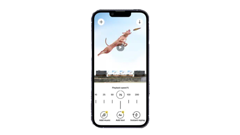Reverse Vid iPhone