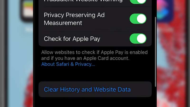 Safari Clear Browsing History