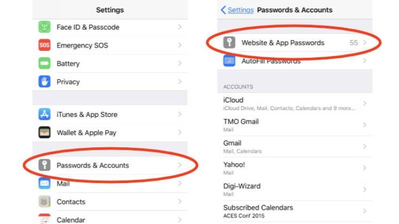 view or see saved passwords on iphone ios 14