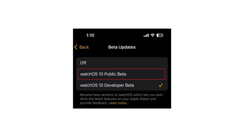 watchOS 10 Public Beta