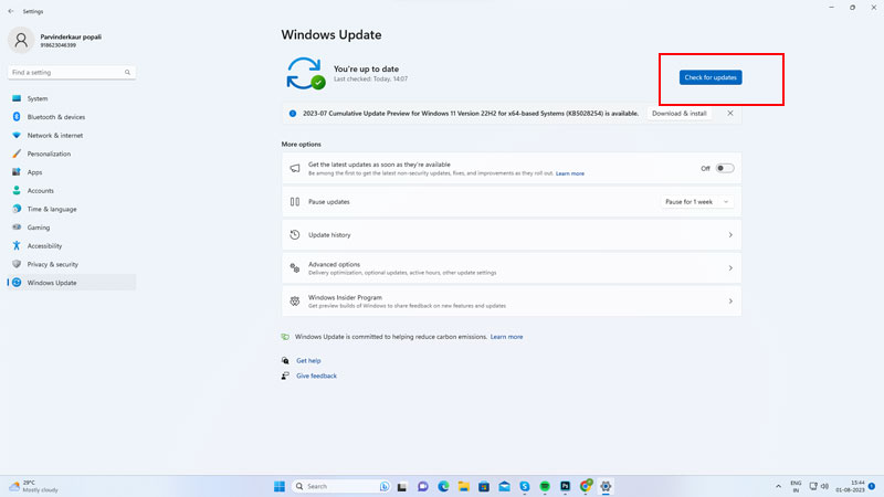 Check Windows Updates