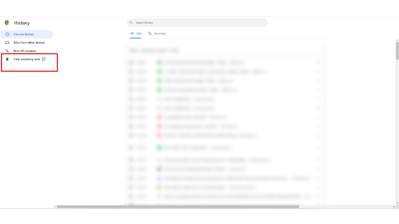 Browsing Data Cleanup for email
